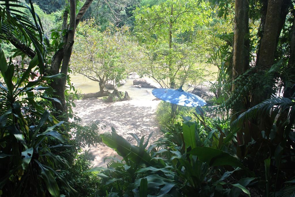 Rain Forest Resort Ban Pak Yang Dış mekan fotoğraf